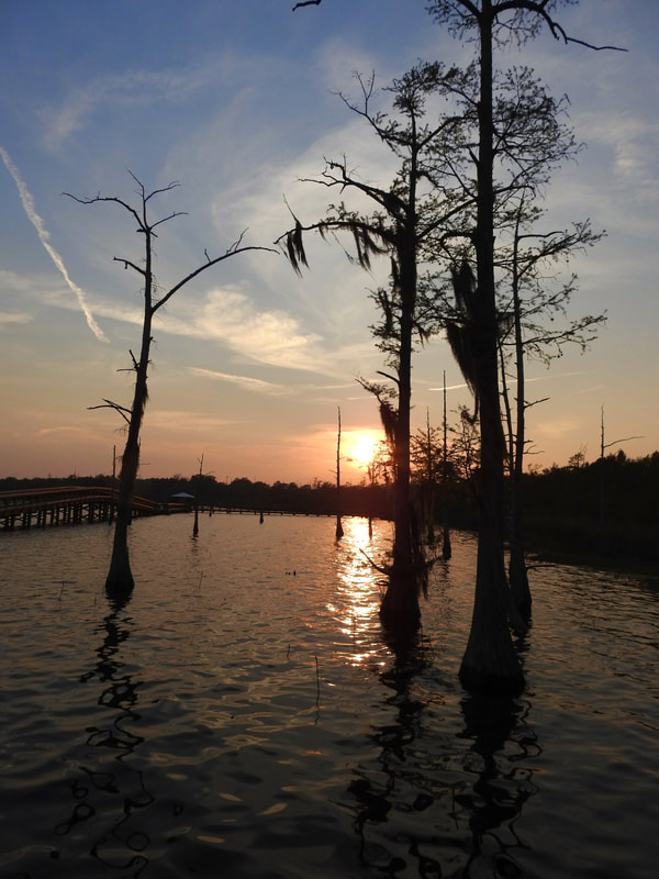 1st Place "We Made It!" by photographer Lexi Harper in SCENIC category in Youth Division of Friends of Black Bayou Lake National Wildlife Refuge annual photo contest 2023